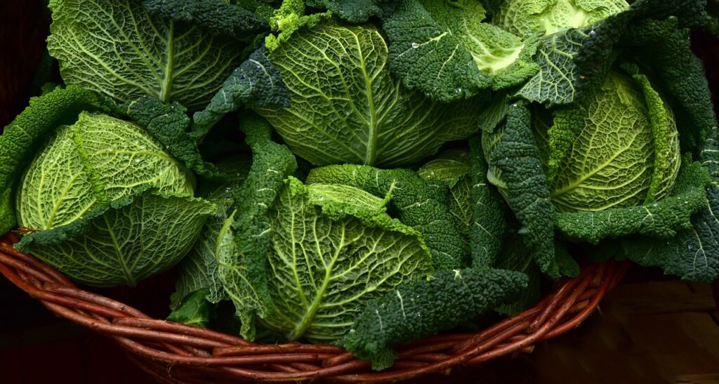 savoy cabbage, vegetables, leafy greens-3860933.jpg