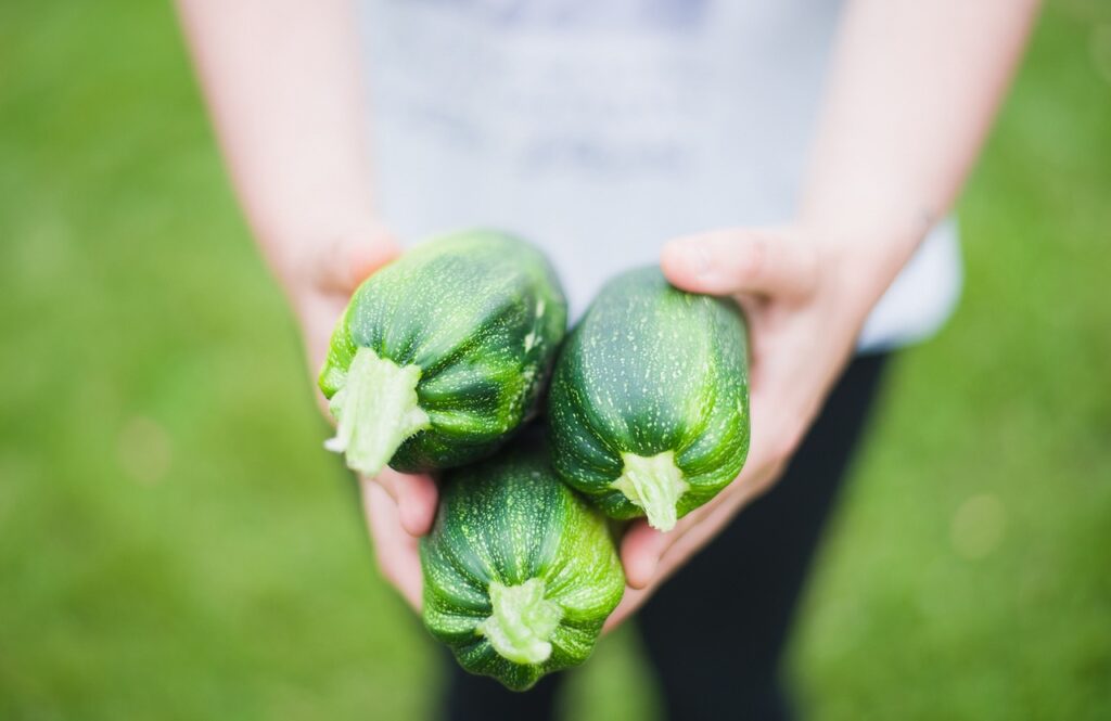 zucchinis, vegetables, green